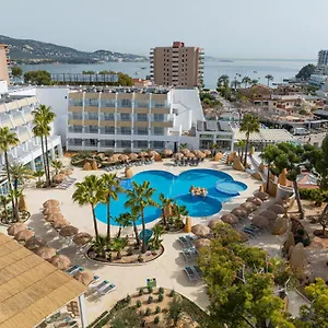 Marsenses Rosa Del Mar & Spanien